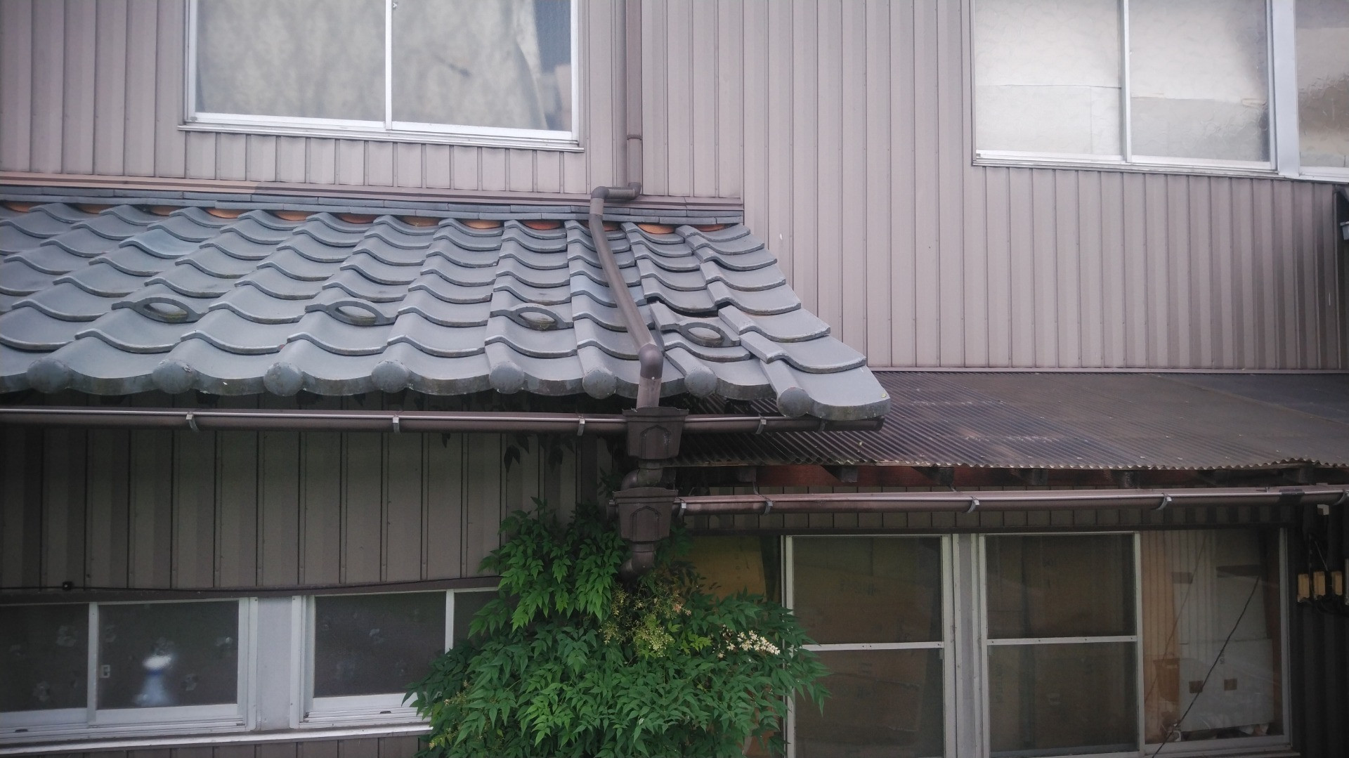 コロナに負けるな！鯖江市で瓦屋根の修理に来ています。