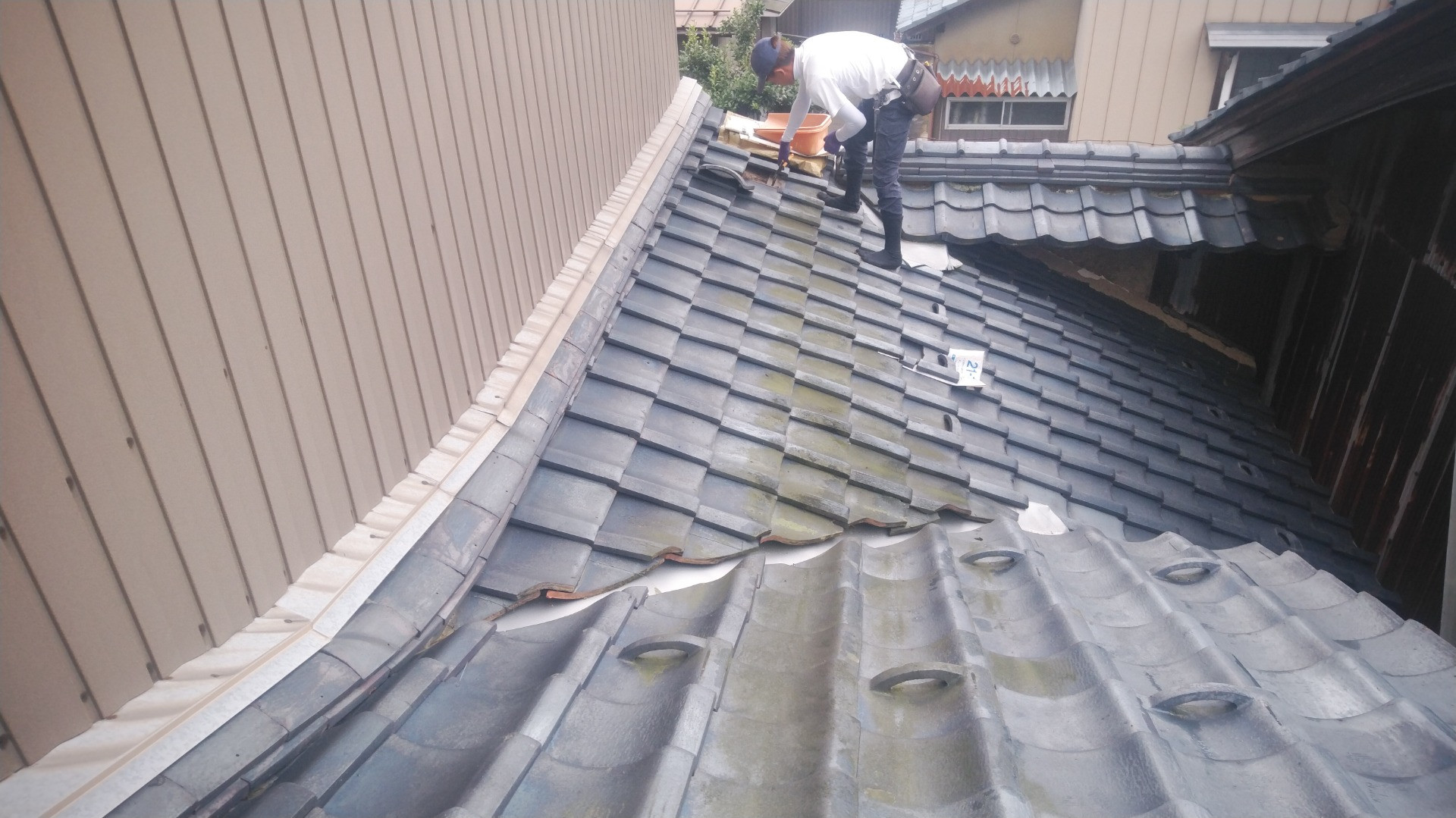 鯖江市で雨漏り修理、瓦の葺き替え工事をしてます。