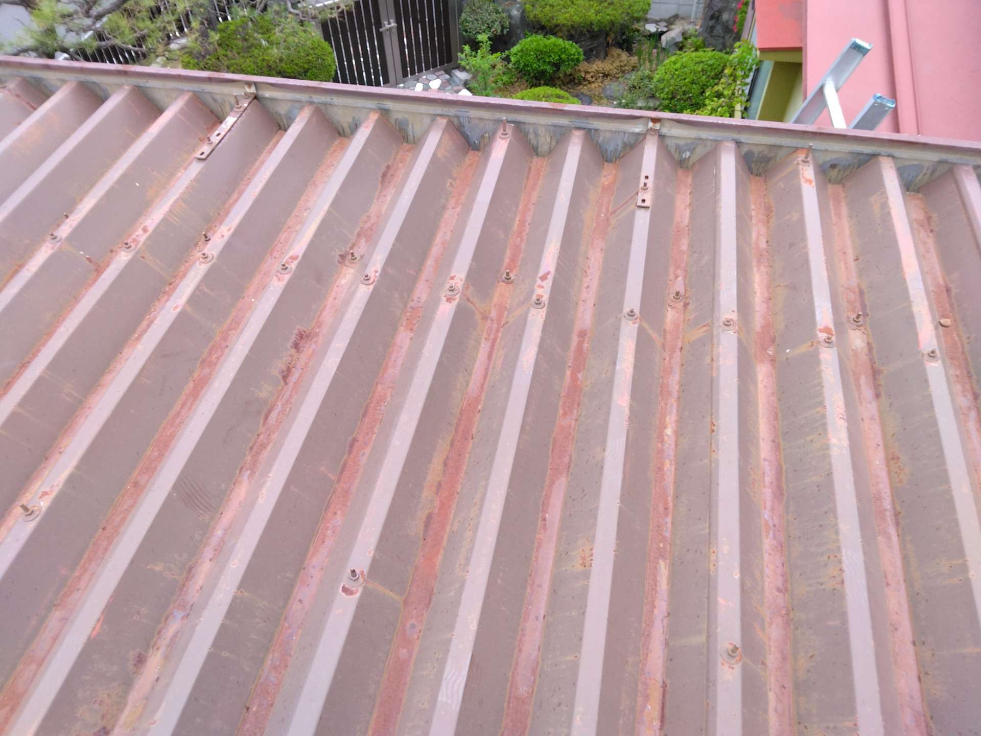 鯖江市で屋根塗装の現場調査に来ています