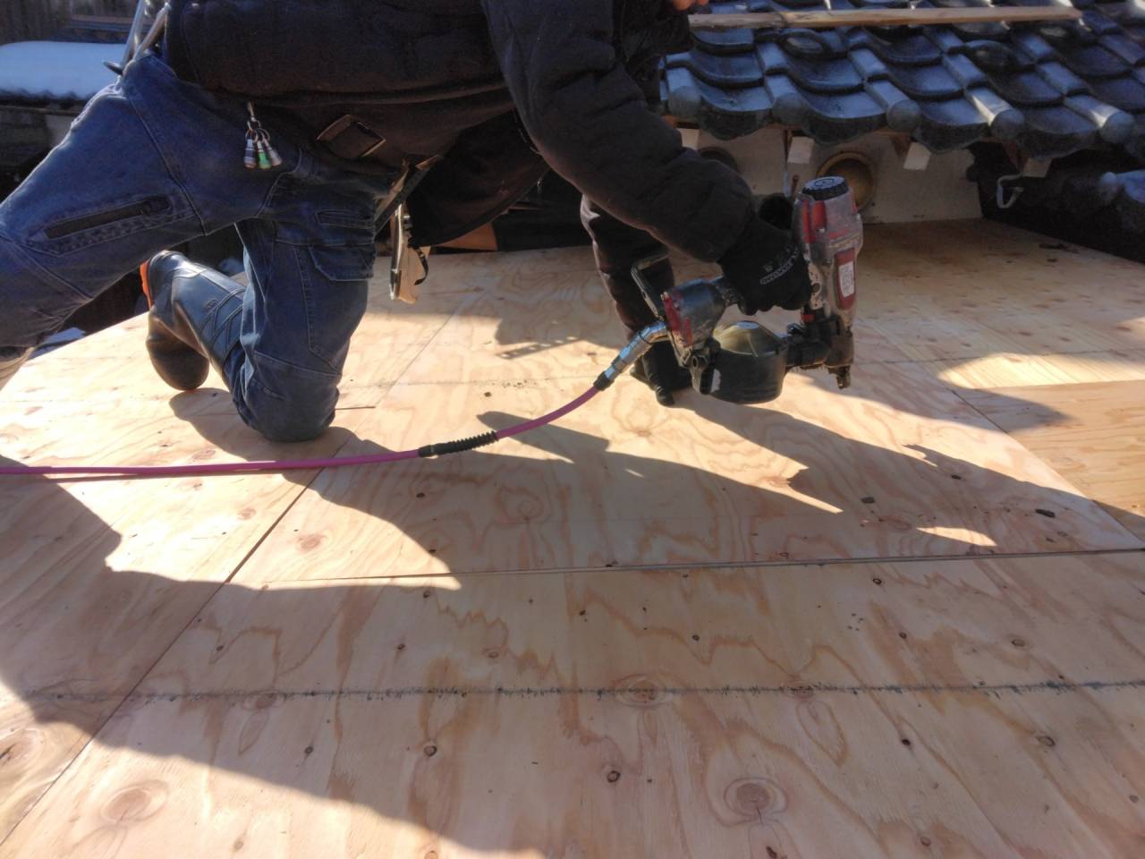 鯖江市で板金屋根の葺き替え工事に来ています