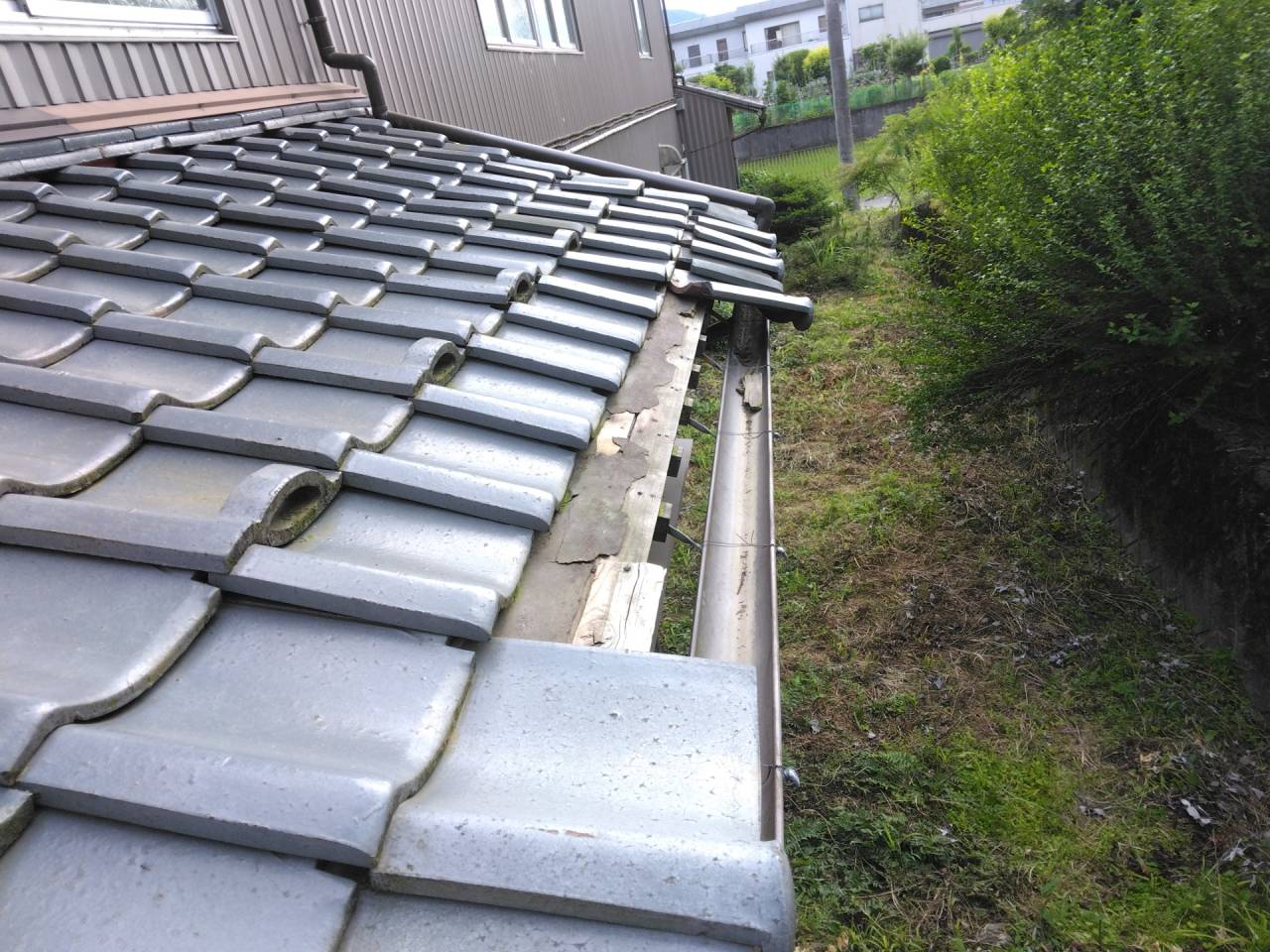 鯖江市で屋根修理の現場調査に来ています